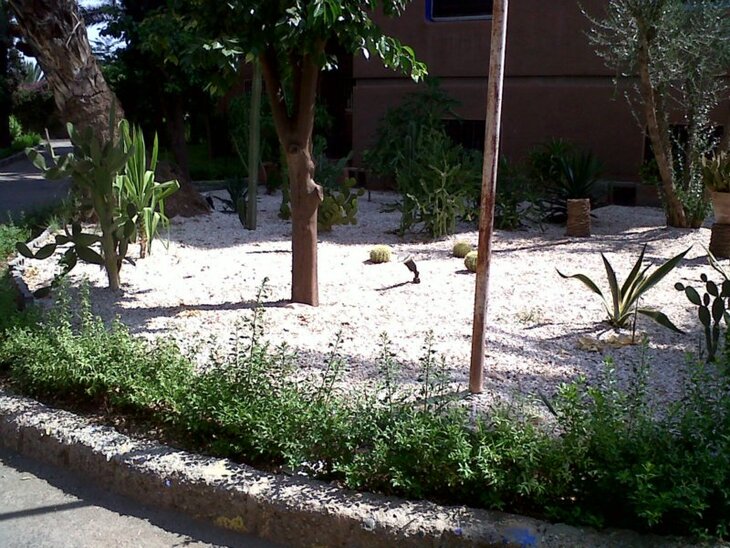 Majorelle résidence Tissir 10/2011.