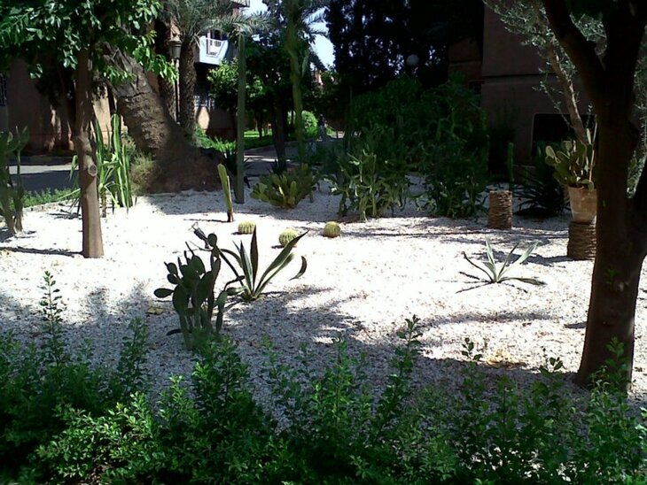 Majorelle résidence Tissir 10/2011.