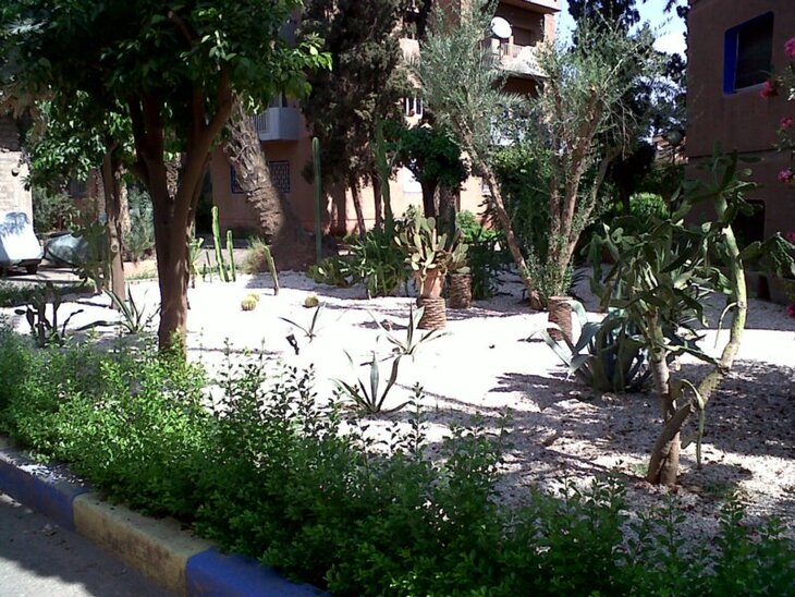 Majorelle résidence Tissir 10/2011.