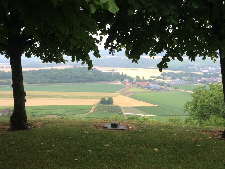 La Montagne de Reims 2014
