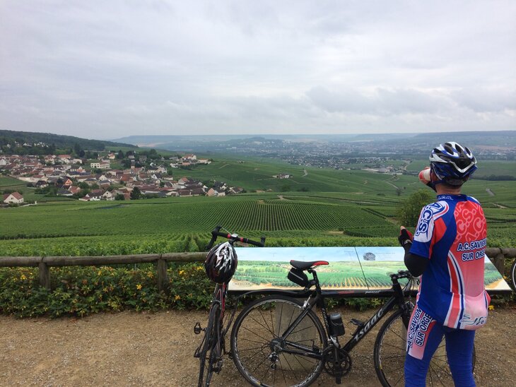 La Montagne de Reims 2014